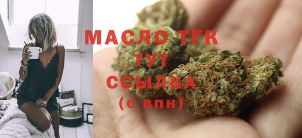 индика Ижевск