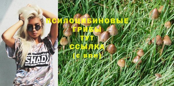 винт Лабытнанги