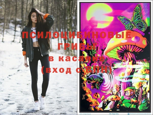 винт Лабытнанги