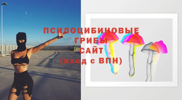 МДМА Лагань