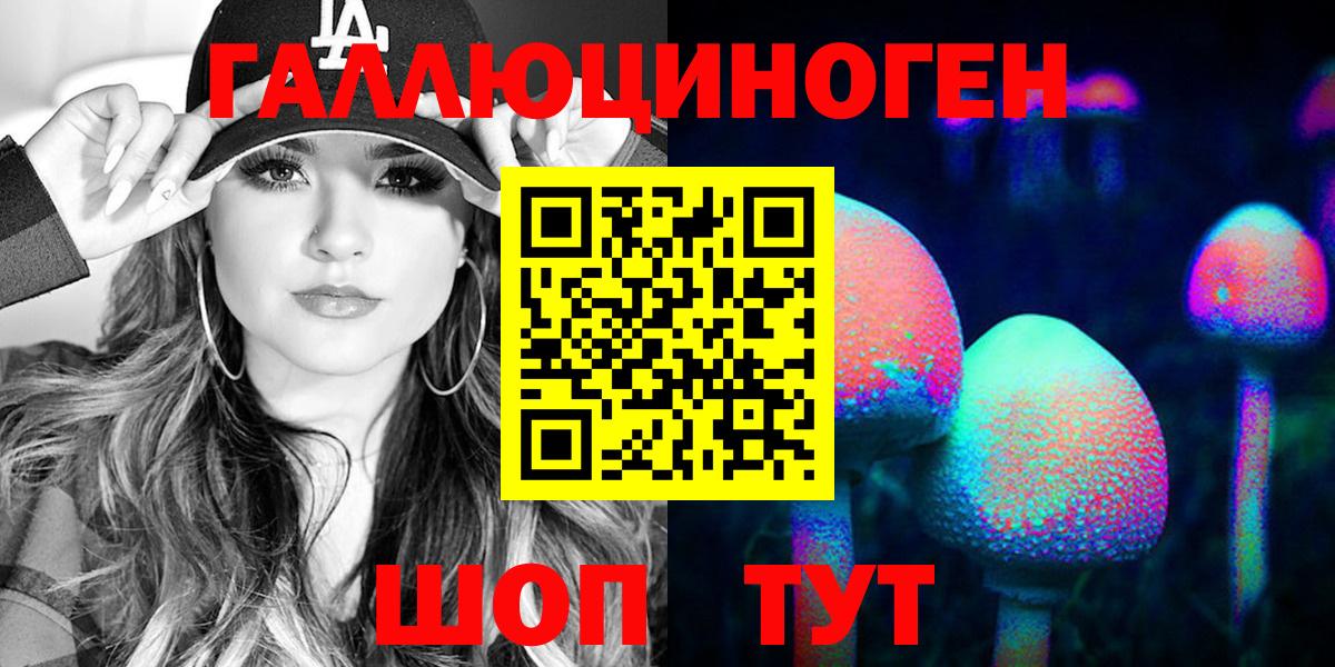 Комсомольск-на-Амуре  Псилоцибиновые грибы Psilocybine cubensis  Вход с VPN 